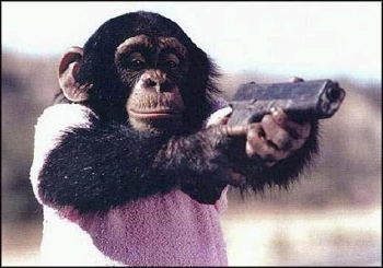 barbados-monkey-glock-pistol.jpg